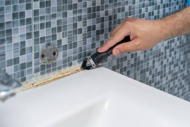 Best Affordable Mold Removal  in Epworth, IA